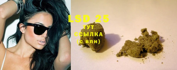 стаф Алексин