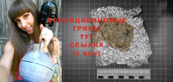 стаф Алексин