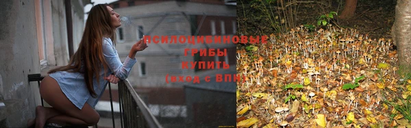 стаф Алексин