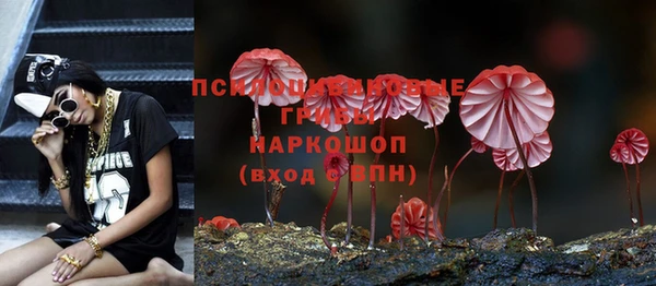 соль ск Алексеевка