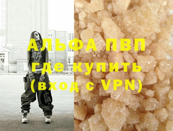 стаф Алексин