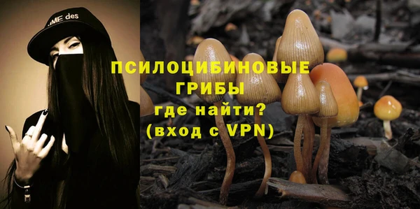 соль ск Алексеевка